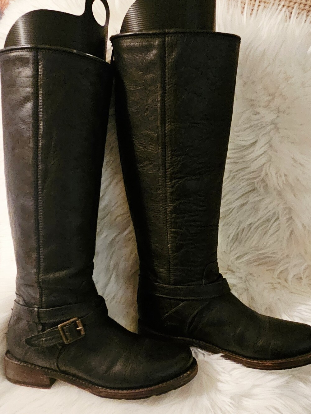 Free Bird by Steven "Shado" Boots